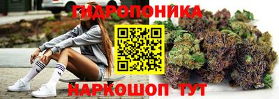 a pvp Пенза