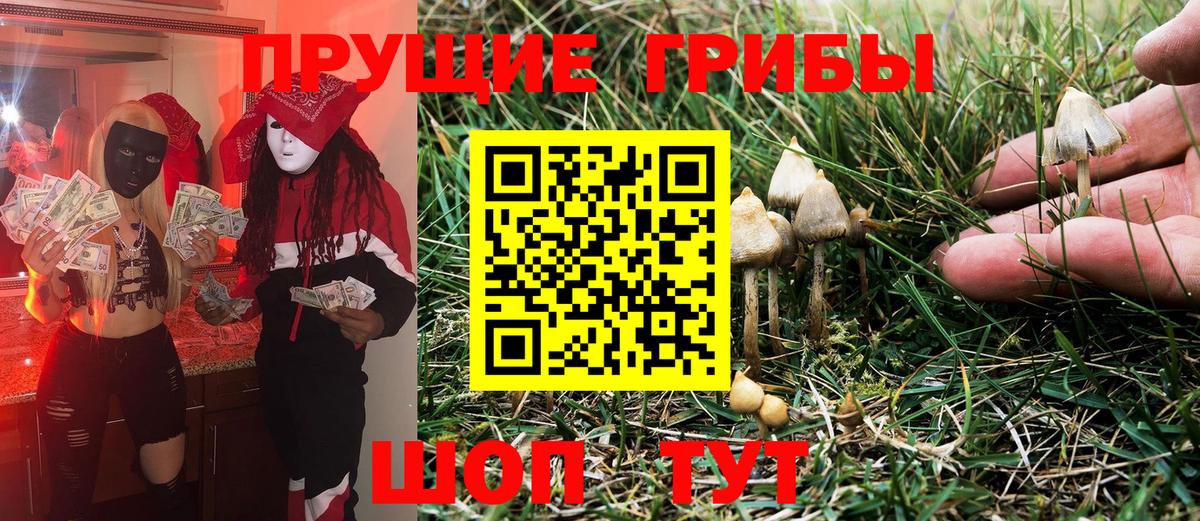 Псилоцибиновые грибы Cubensis  Вход с VPN  Рославль 